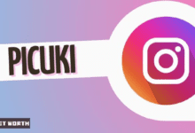 Instagram Viewer Picuki